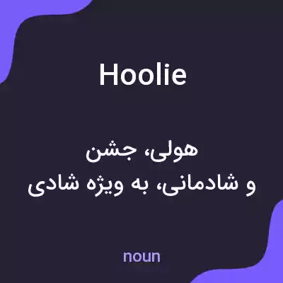 معنی hoolie به فارسی معنی hoolie به فارسی