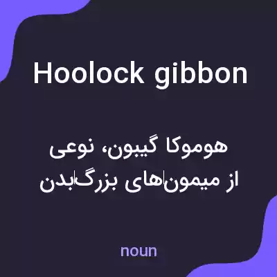 معنی hoolock gibbon به فارسی معنی hoolock gibbon به فارسی