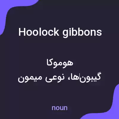 معنی hoolock gibbons به فارسی