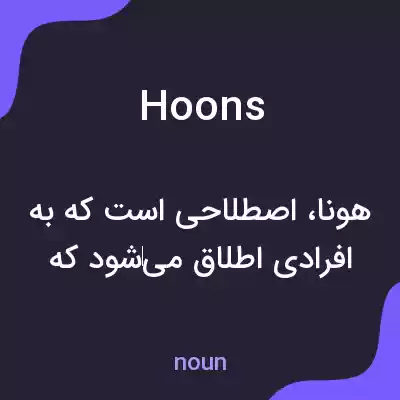 معنی hoons به فارسی
