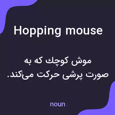 معنی hopping mouse به فارسی معنی hopping mouse به فارسی