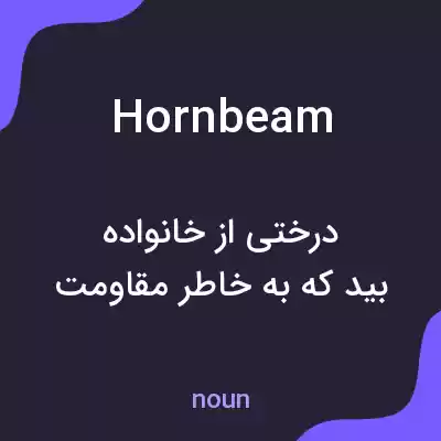 معنی hornbeam به فارسی معنی hornbeam به فارسی