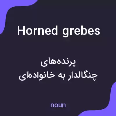 معنی horned grebes به فارسی معنی horned grebes به فارسی