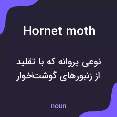 معنی hornet moth به فارسی