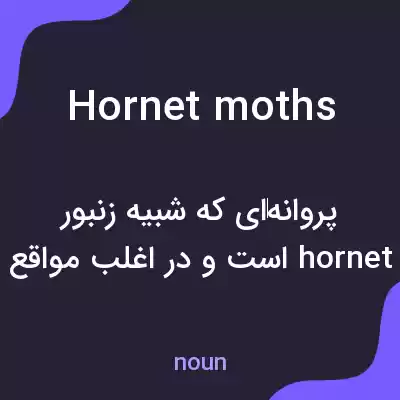 معنی hornet moths به فارسی معنی hornet moths به فارسی