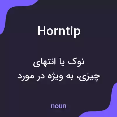 معنی horntip به فارسی
