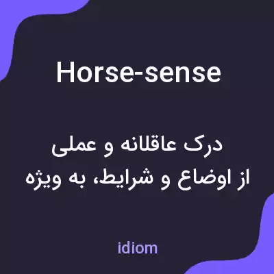معنی horse-sense به فارسی معنی horse-sense به فارسی