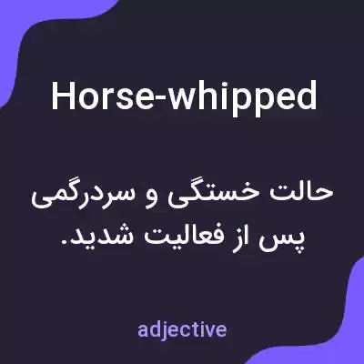 معنی horse-whipped به فارسی معنی horse-whipped به فارسی
