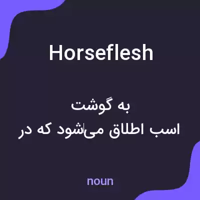معنی horseflesh به فارسی