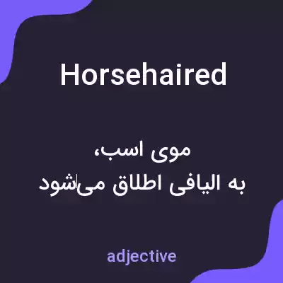 معنی horsehaired به فارسی معنی horsehaired به فارسی