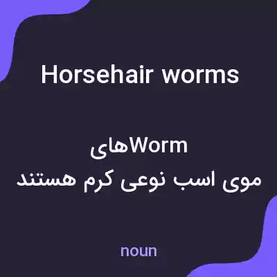 معنی horsehair worms به فارسی معنی horsehair worms به فارسی