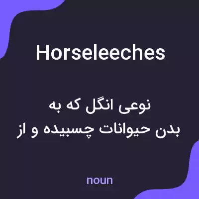 معنی horseleeches به فارسی معنی horseleeches به فارسی