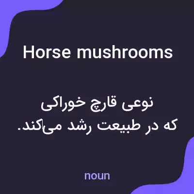 معنی horse mushrooms به فارسی معنی horse mushrooms به فارسی