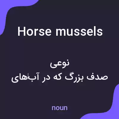 معنی horse mussels به فارسی معنی horse mussels به فارسی