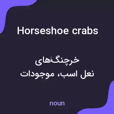 معنی horseshoe crabs به فارسی معنی horseshoe crabs به فارسی