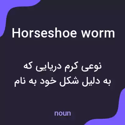 معنی horseshoe worm به فارسی معنی horseshoe worm به فارسی