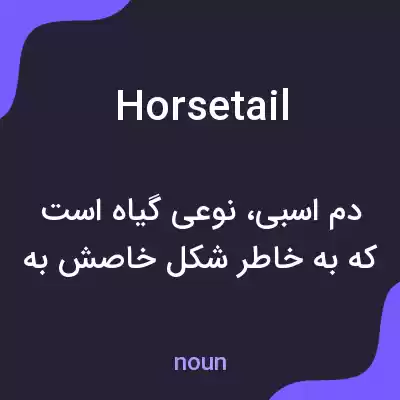 معنی horsetail به فارسی معنی horsetail به فارسی