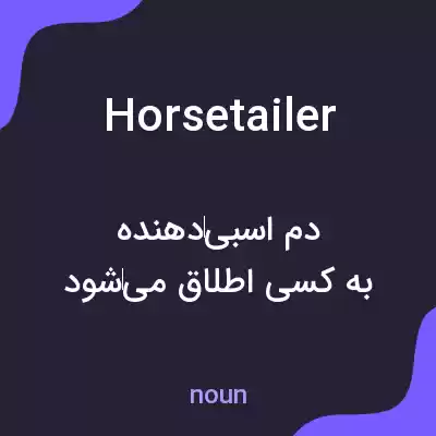 معنی horsetailer به فارسی