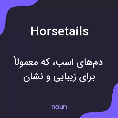 معنی horsetails به فارسی معنی horsetails به فارسی