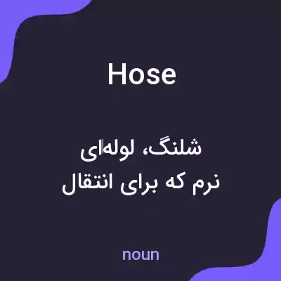 معنی hose به فارسی معنی hose به فارسی