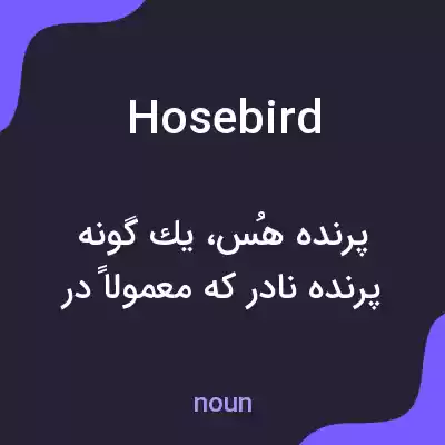 معنی hosebird به فارسی معنی hosebird به فارسی