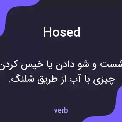 معنی hosed به فارسی معنی hosed به فارسی