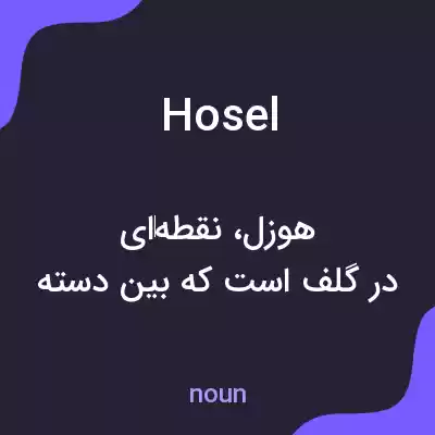 معنی hosel به فارسی معنی hosel به فارسی