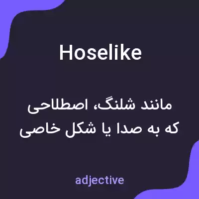 معنی hoselike به فارسی معنی hoselike به فارسی