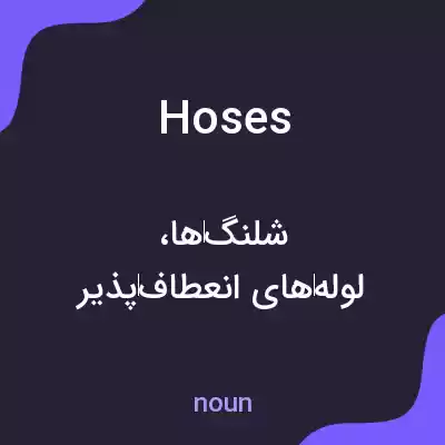 معنی hoses به فارسی معنی hoses به فارسی