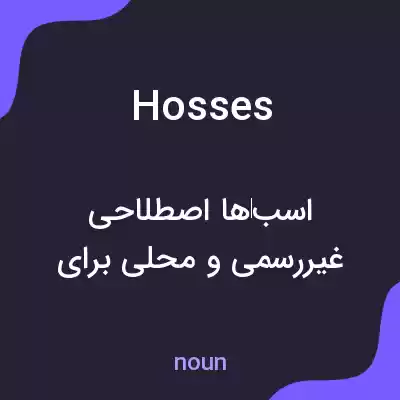 معنی hosses به فارسی معنی hosses به فارسی