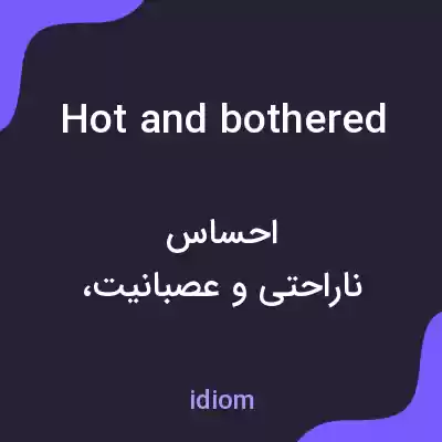 معنی hot and bothered به فارسی معنی hot and bothered به فارسی