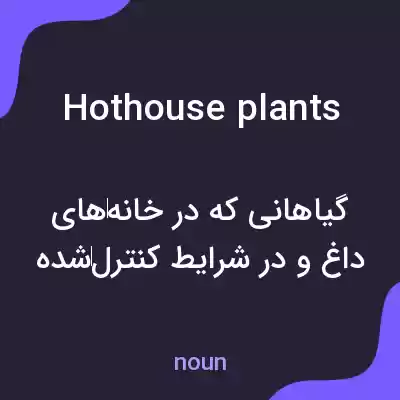معنی hothouse plants به فارسی معنی hothouse plants به فارسی