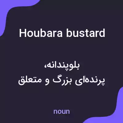 معنی houbara bustard به فارسی معنی houbara bustard به فارسی