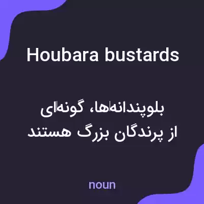 معنی houbara bustards به فارسی