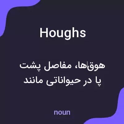 معنی houghs به فارسی
