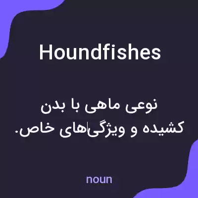 معنی houndfishes به فارسی معنی houndfishes به فارسی