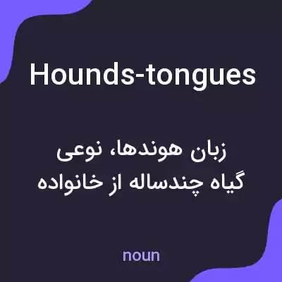 معنی hounds-tongues به فارسی