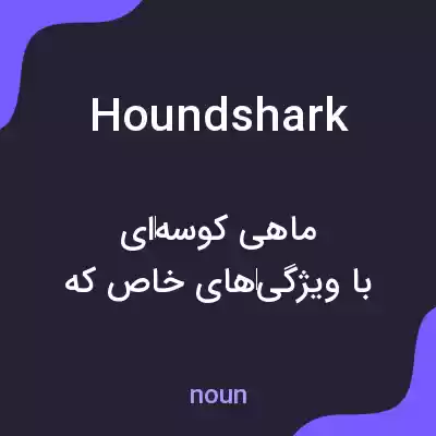 معنی houndshark به فارسی معنی houndshark به فارسی