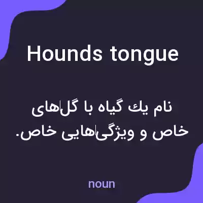 معنی hounds tongue به فارسی معنی hounds tongue به فارسی