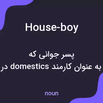 معنی house-boy به فارسی معنی house-boy به فارسی