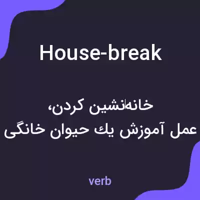 معنی house-break به فارسی معنی house-break به فارسی
