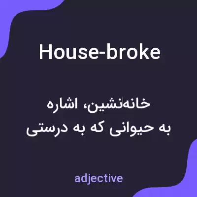 معنی house-broke به فارسی معنی house-broke به فارسی