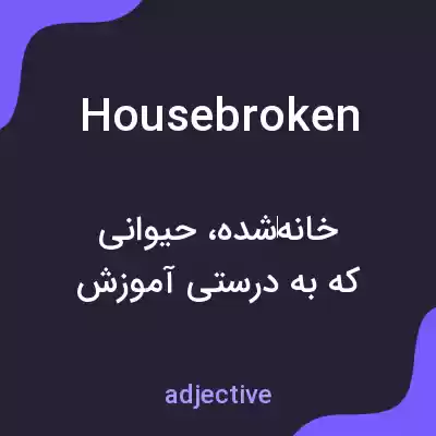 معنی housebroken به فارسی معنی housebroken به فارسی