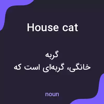 معنی house cat به فارسی معنی house cat به فارسی