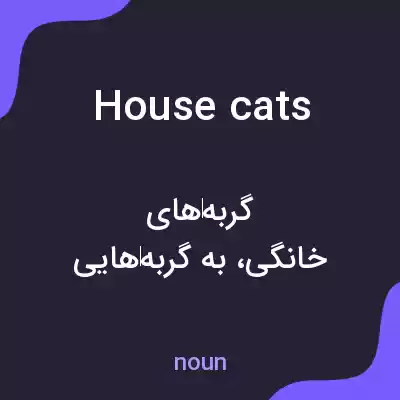 معنی house cats به فارسی معنی house cats به فارسی