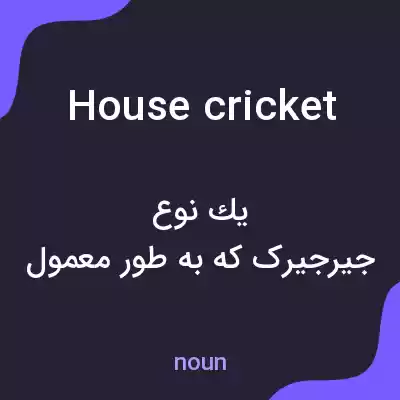 معنی house cricket به فارسی معنی house cricket به فارسی