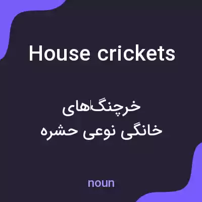 معنی house crickets به فارسی معنی house crickets به فارسی