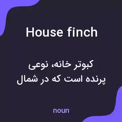 معنی house finch به فارسی معنی house finch به فارسی