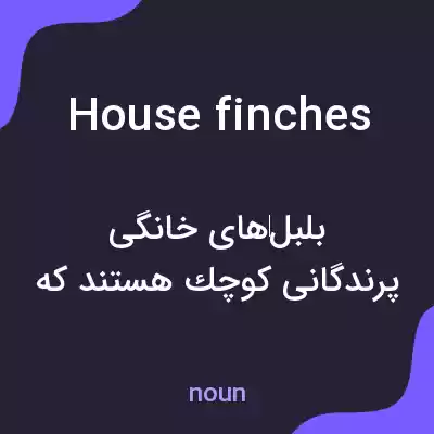 معنی house finches به فارسی معنی house finches به فارسی