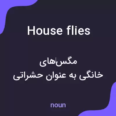 معنی houseflies به فارسی